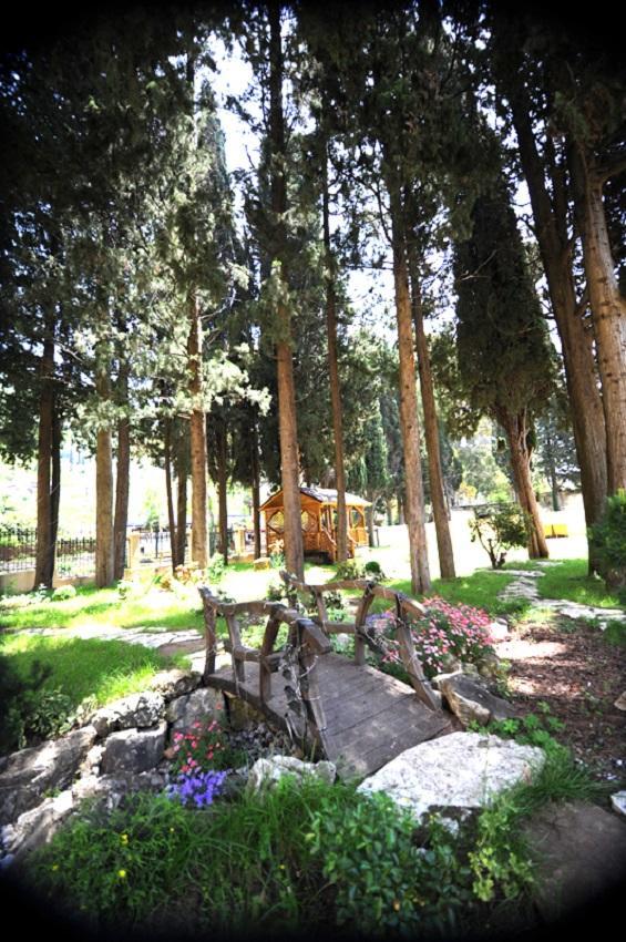 Hotel Lazurniy Bereg Gagry Zewnętrze zdjęcie